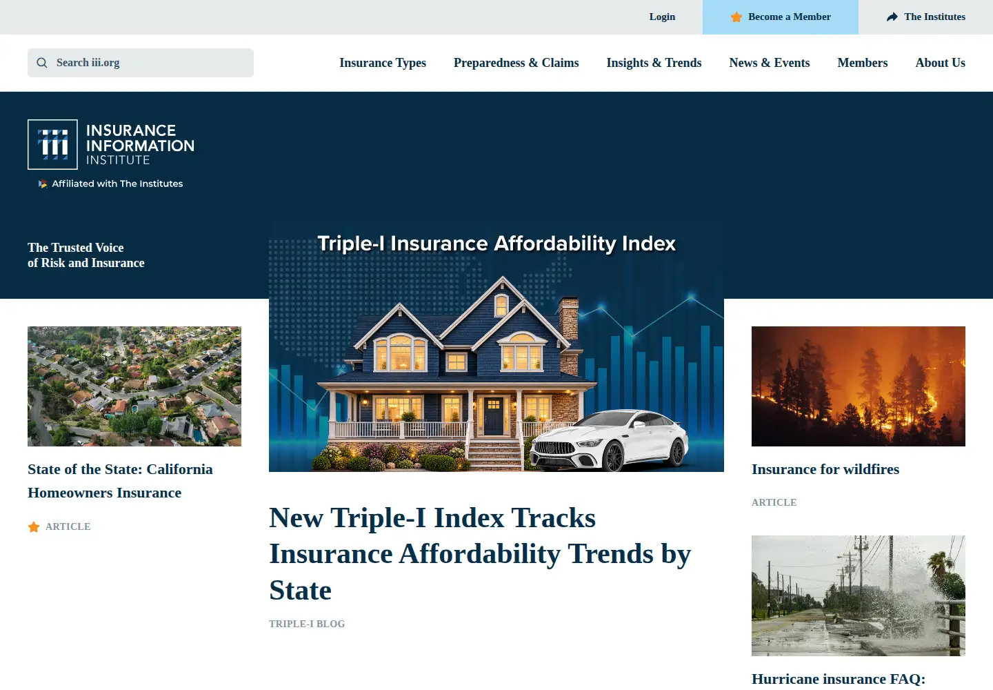 Screenshot of iii.org