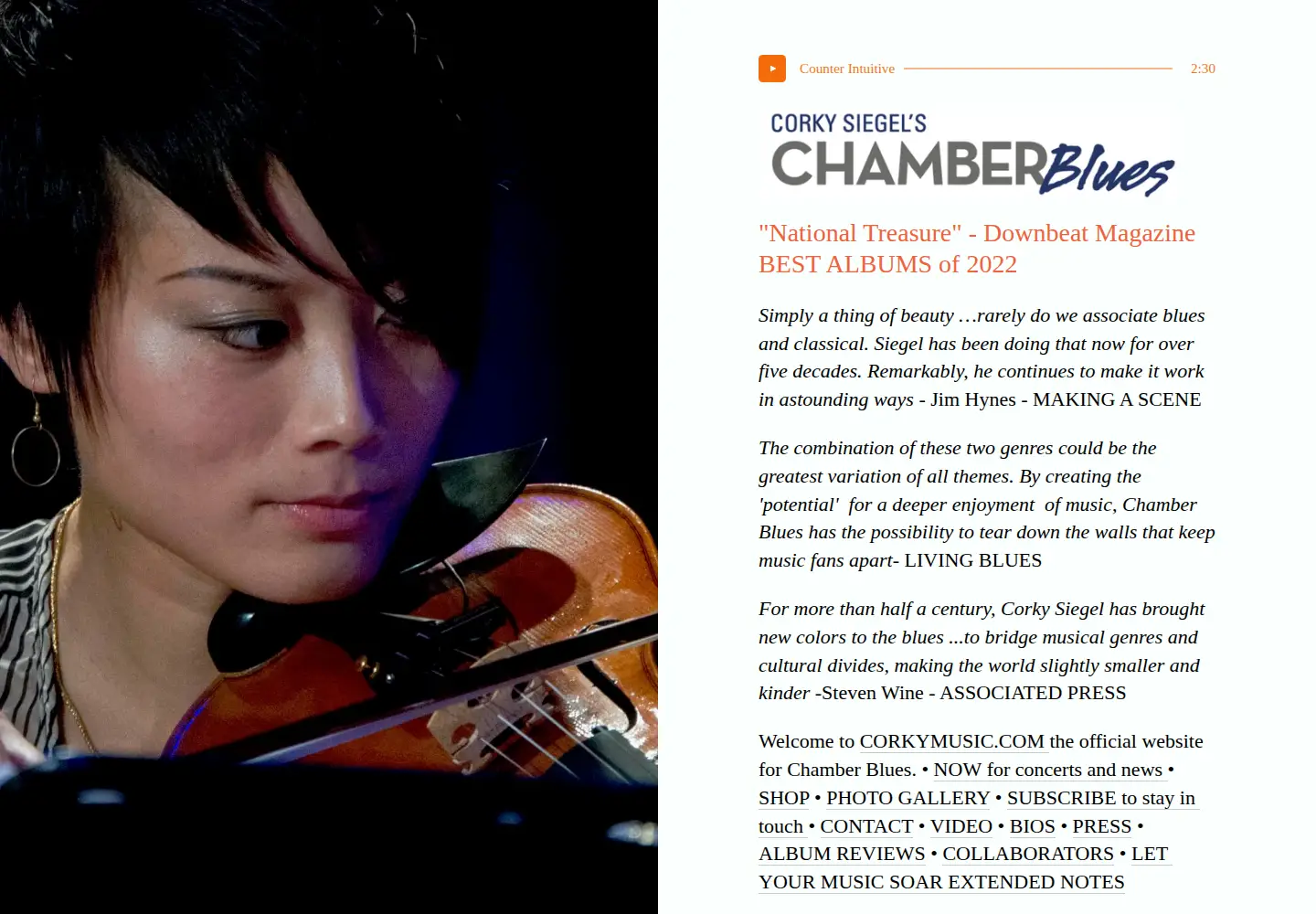 Screenshot of chamberblues.com