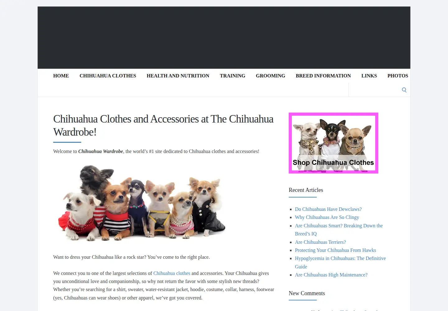 Screenshot of chihuahuawardrobe.com
