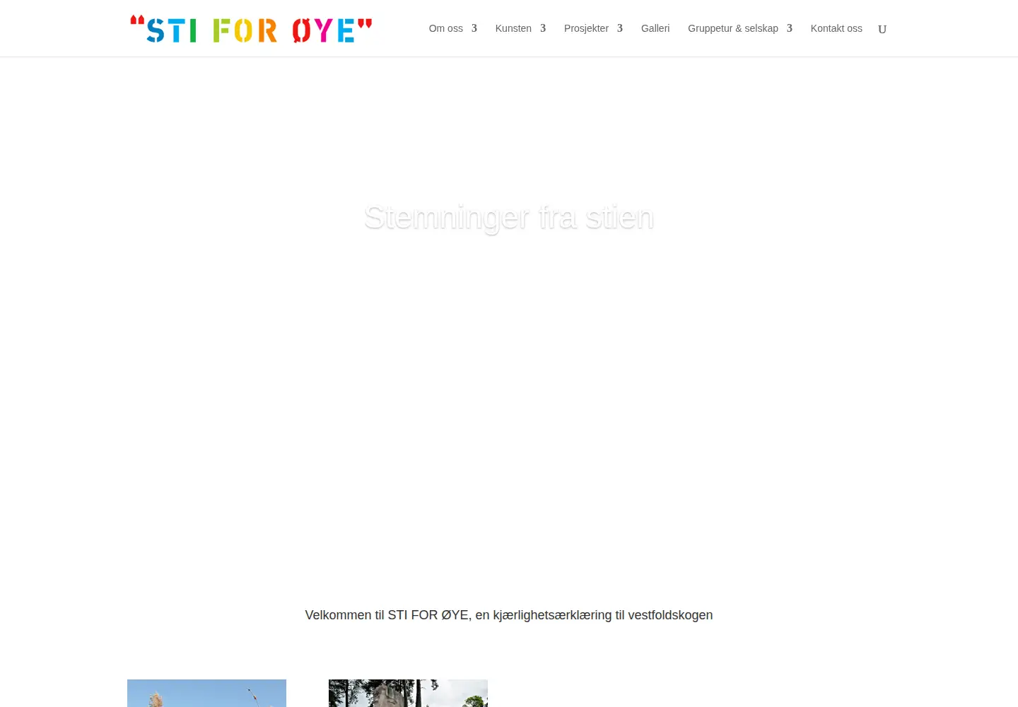 Captured homepage of stiforoye.no in the current scan