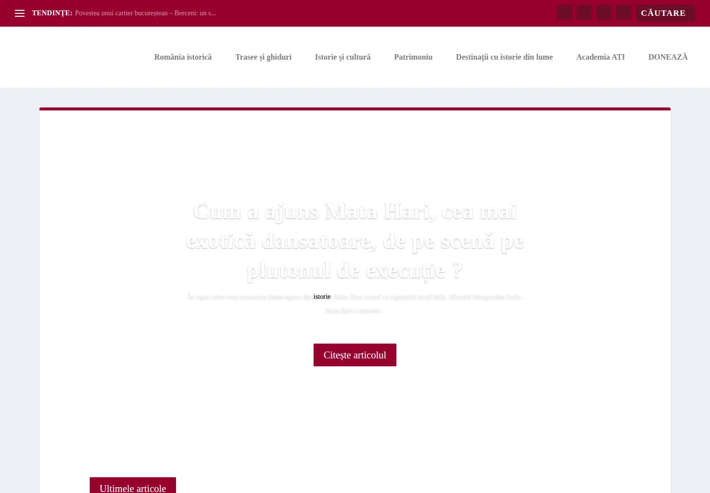 Captured homepage of turismistoric.ro in the current scan