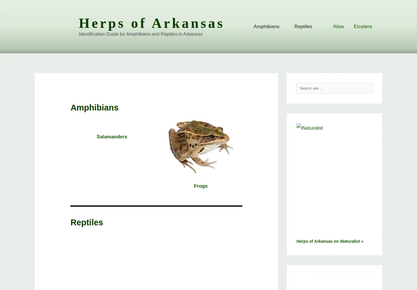 Screenshot of herpsofarkansas.com