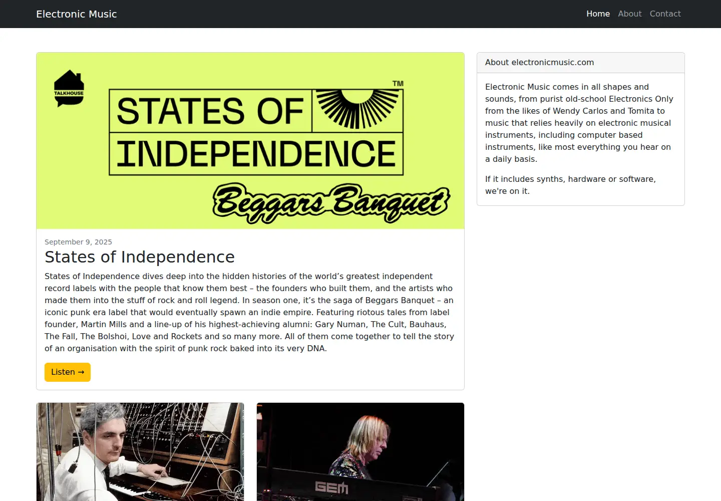 Captured homepage of electronicmusic.com in the current scan