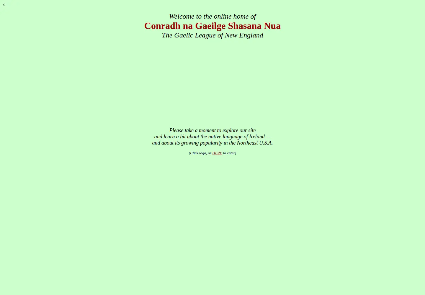 Screenshot of gaeilge.org
