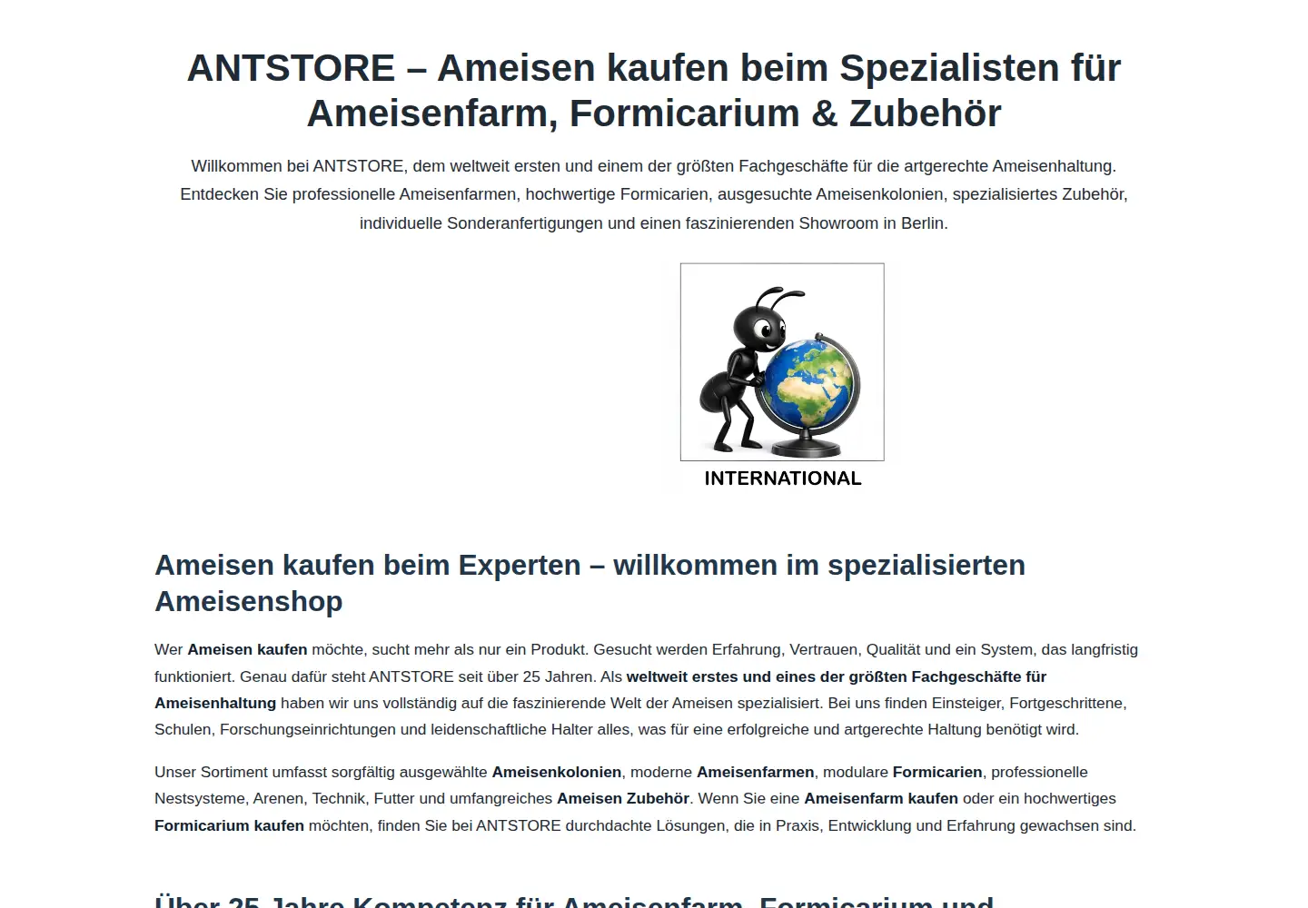 Captured homepage of antstore.net in the current scan