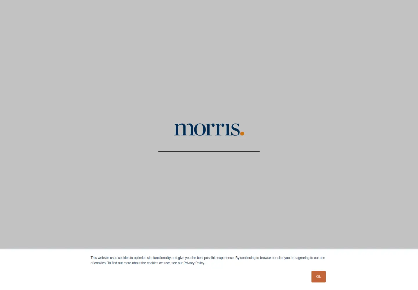 Captured homepage of morriscreative.com in the current scan