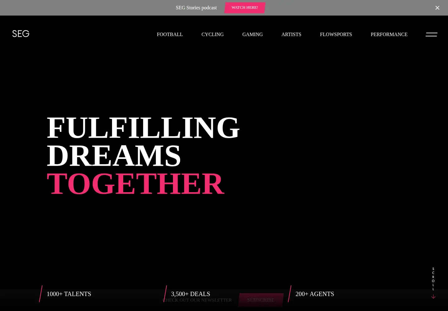 Captured homepage of seginternational.com in the current scan