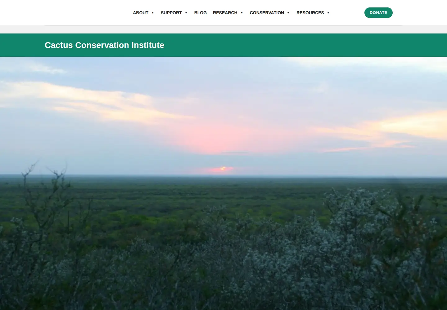 Captured homepage of cactusconservation.org in the current scan