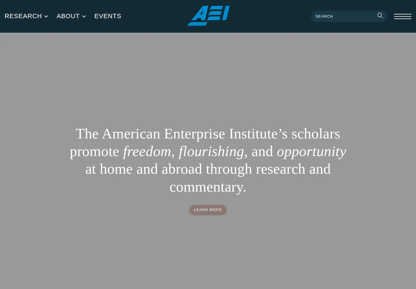 Screenshot of aei.org