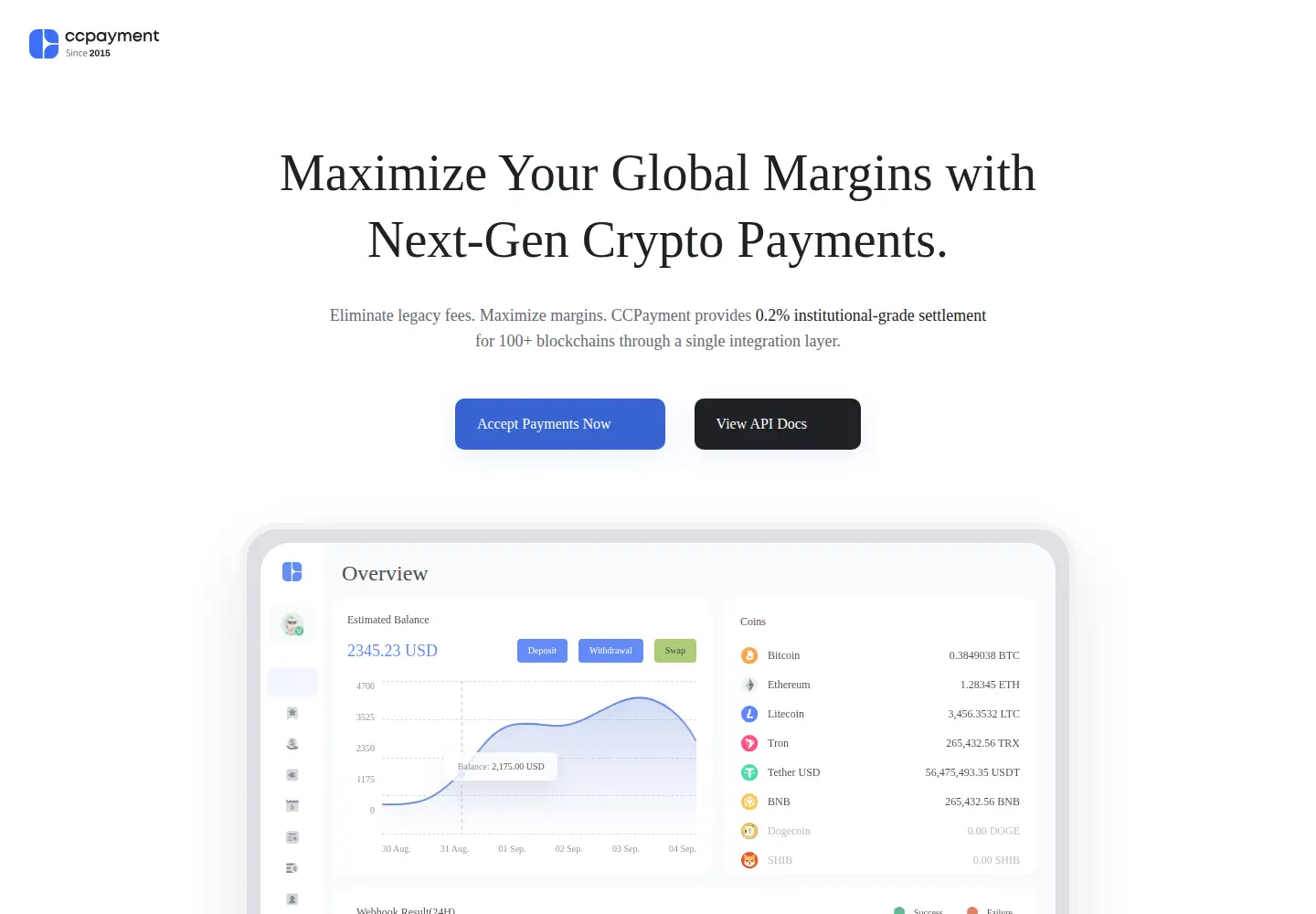 Captured homepage of ccpayment.com in the current scan