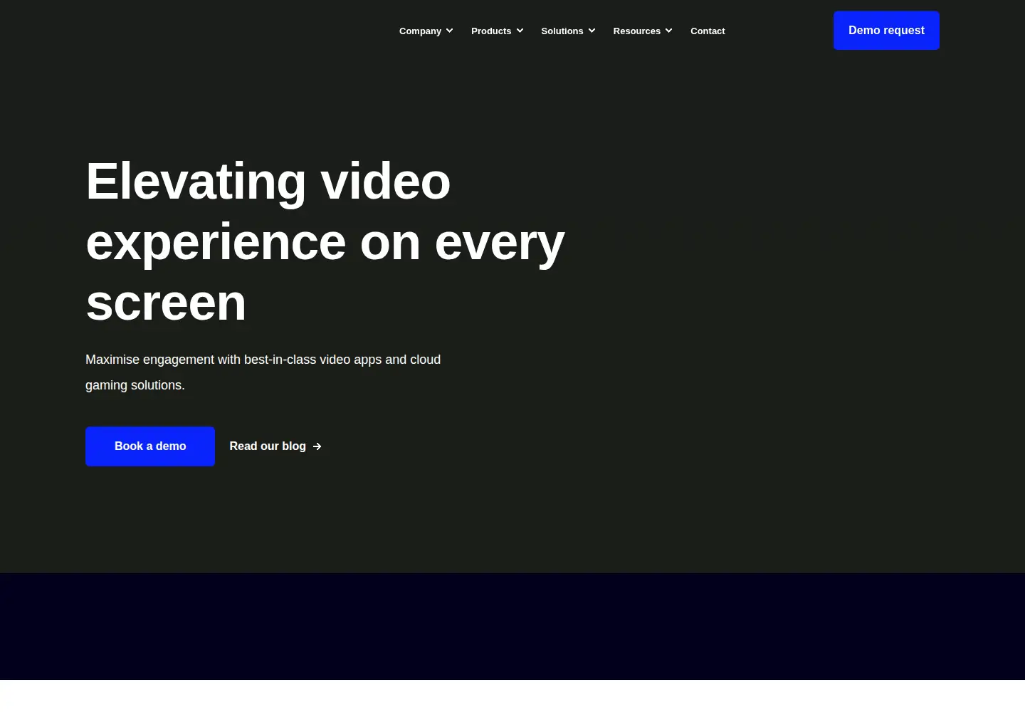 Captured homepage of wiztivi.com in the current scan