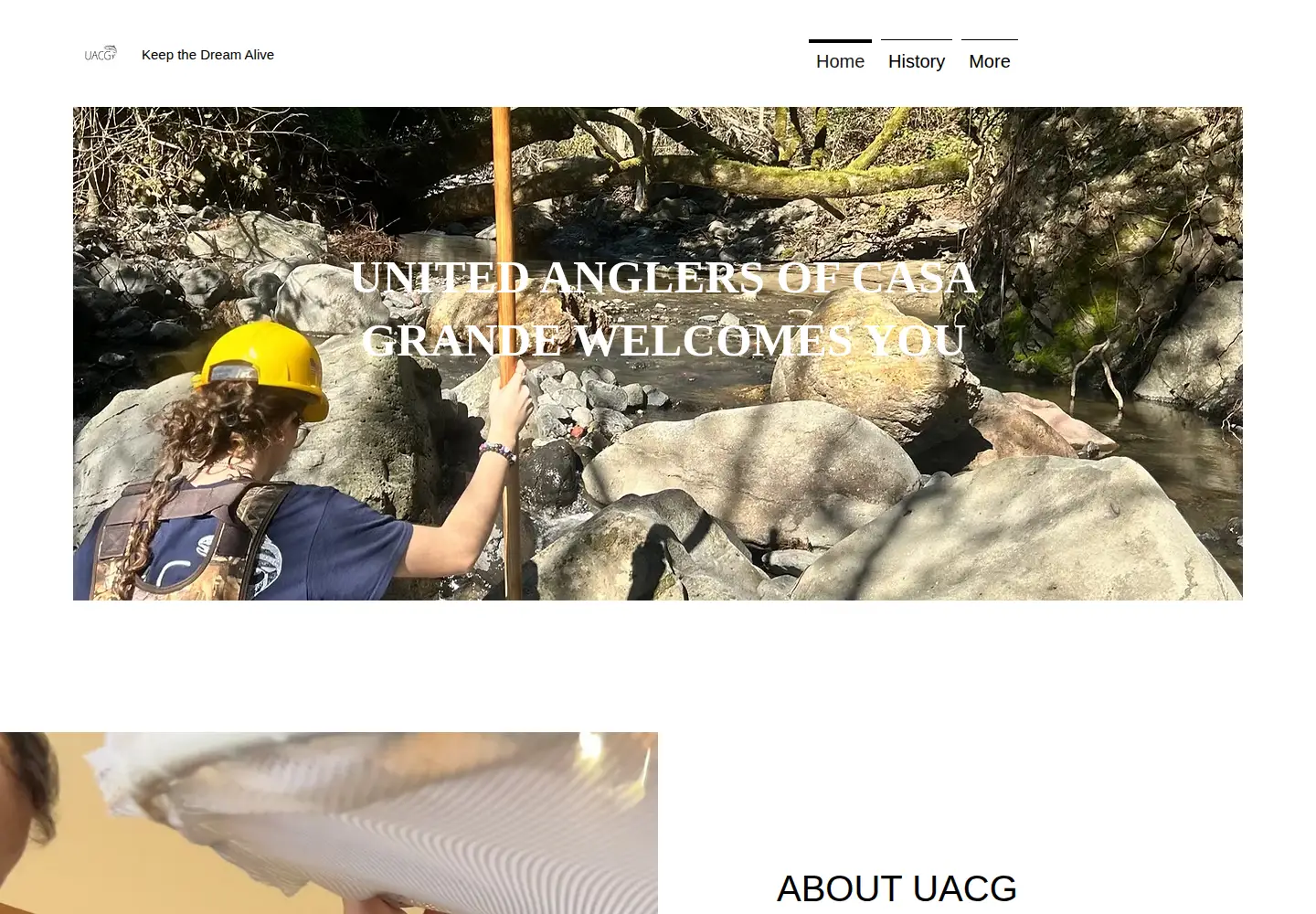 Captured homepage of uacg.org in the current scan
