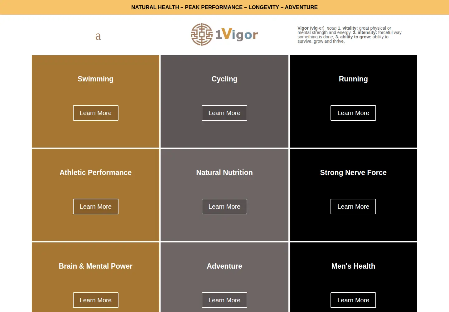 Captured homepage of 1vigor.com in the current scan