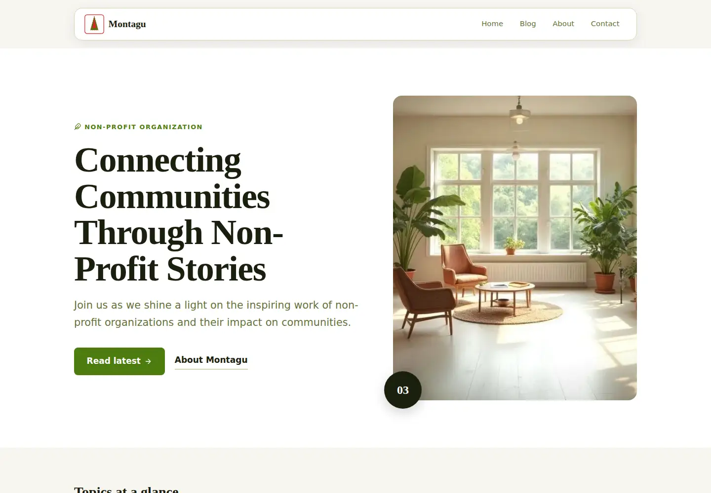 Screenshot of montagu.org