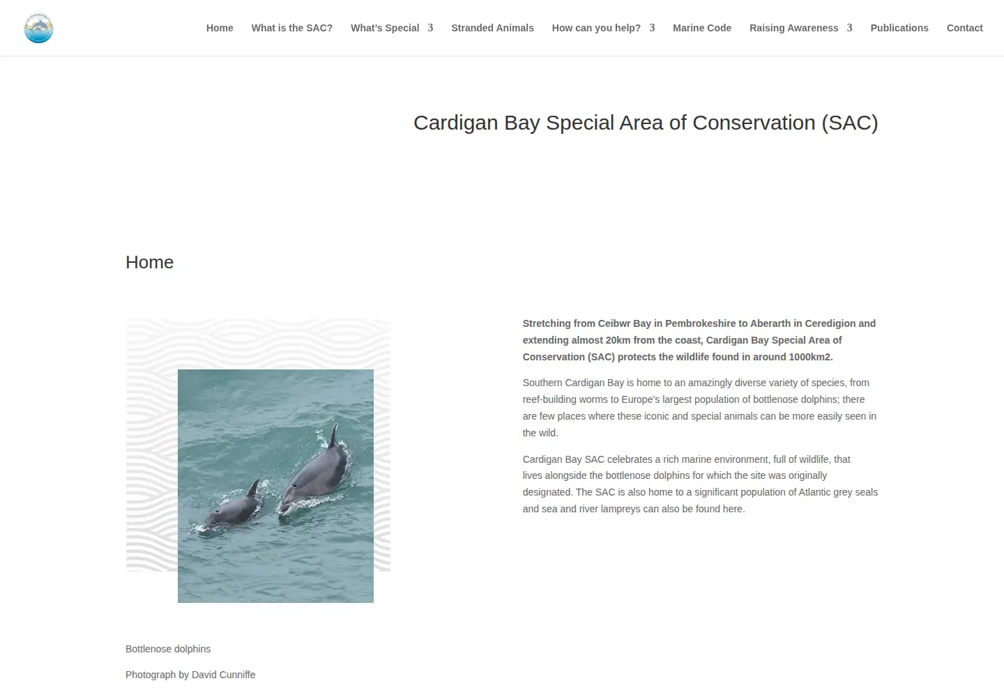 Captured homepage of cardiganbaysac.org.uk in the current scan