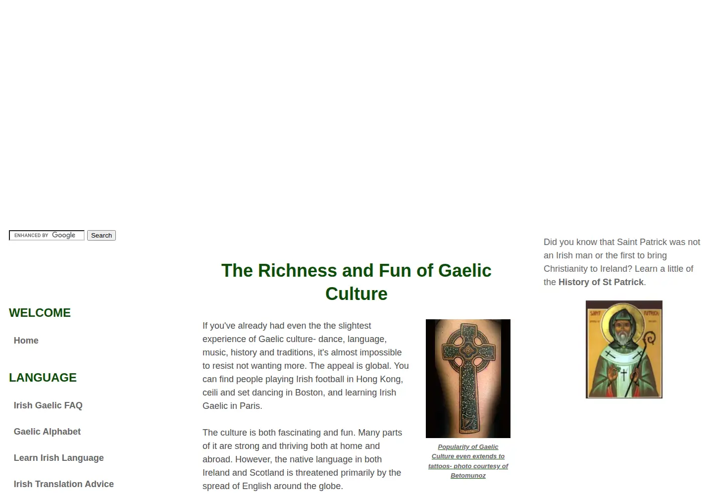 Captured homepage of gaelicmatters.com in the current scan