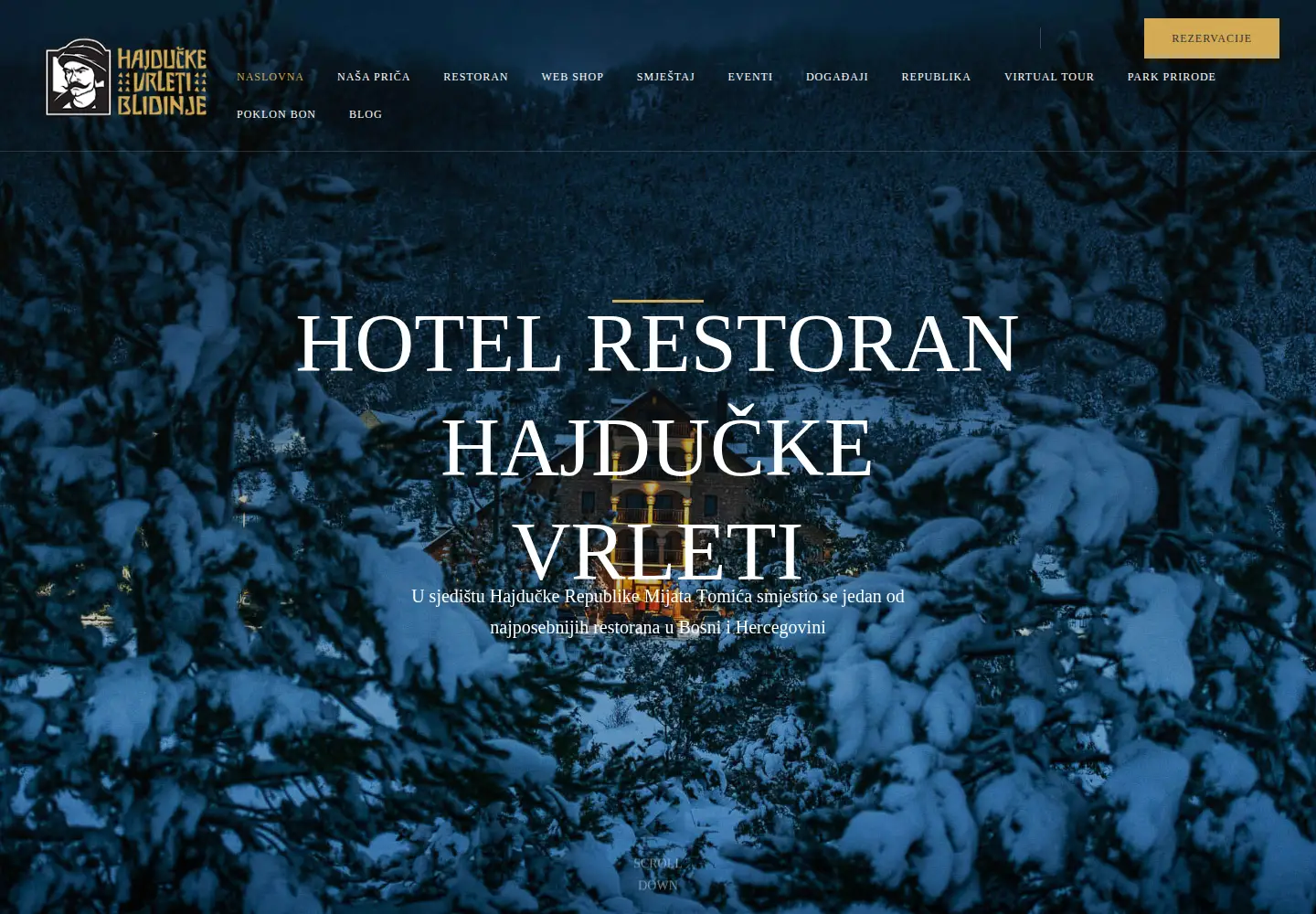 Captured homepage of vrleti.com in the current scan