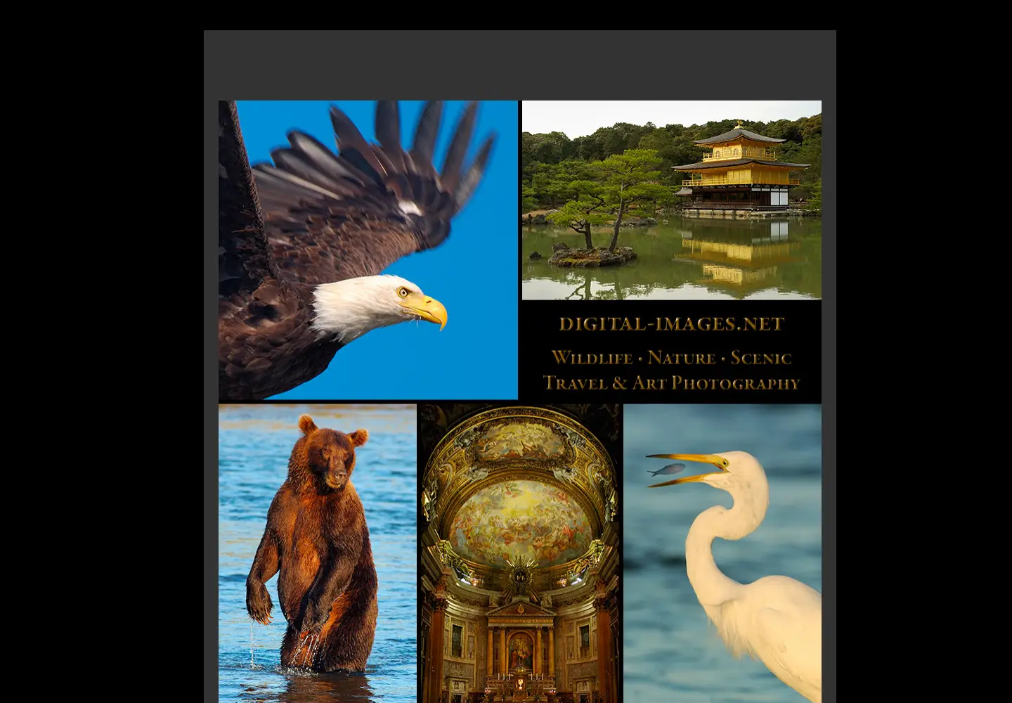 Captured homepage of digital-images.net in the current scan