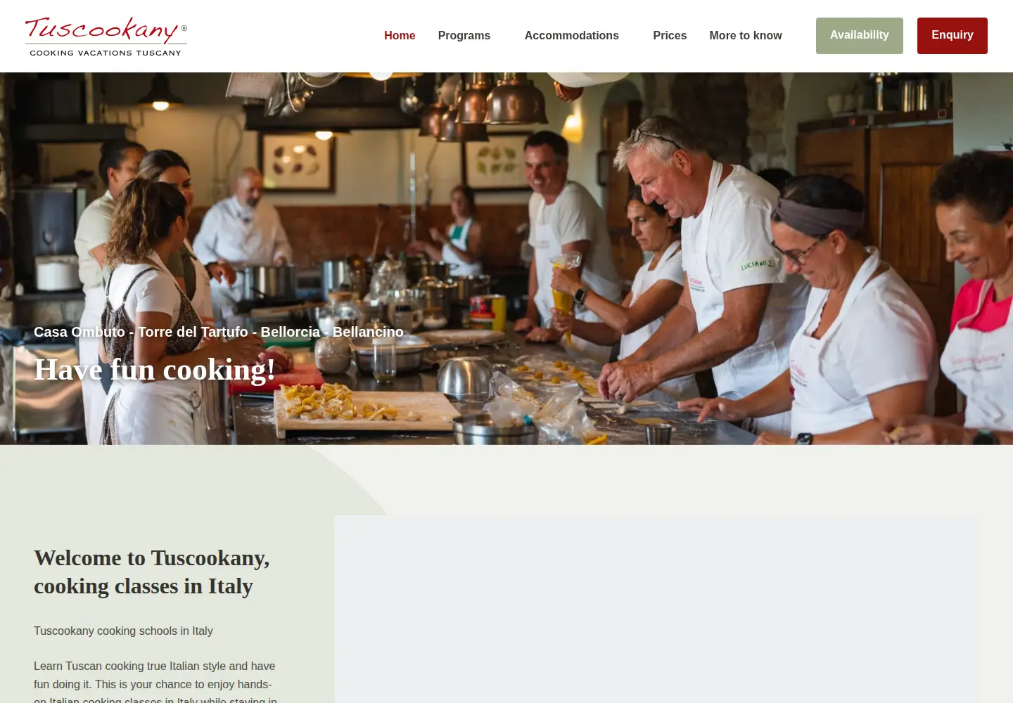 Screenshot of tuscookany.com