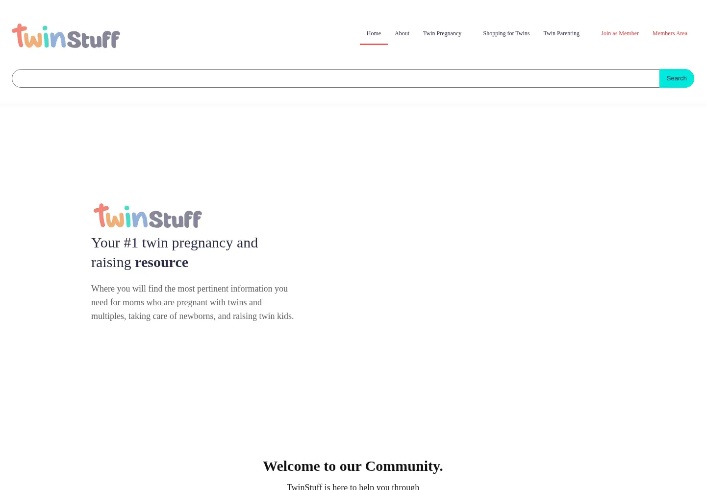 Screenshot of twinstuff.com