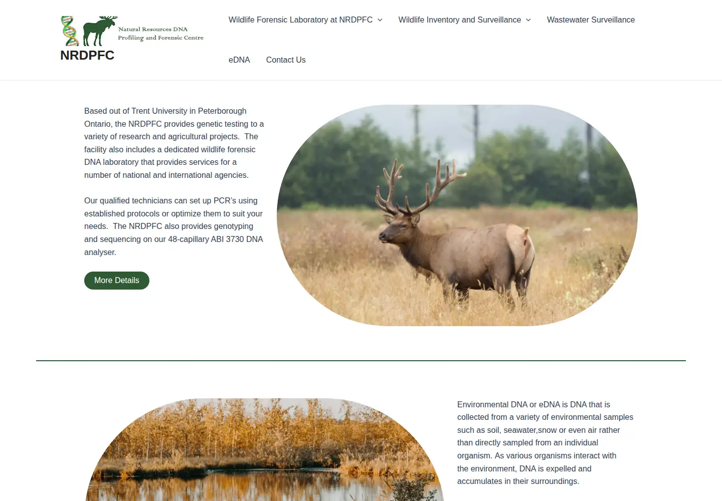 Screenshot of nrdpfc.ca
