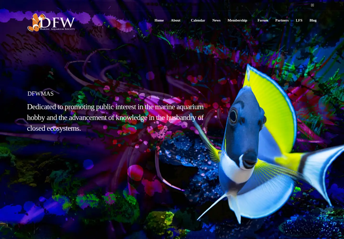 Screenshot of dfwmas.org