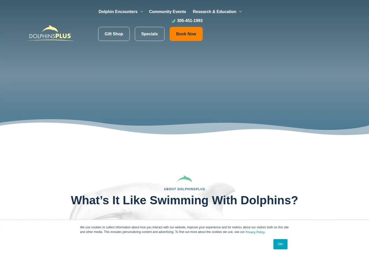 Screenshot of dolphinsplus.com