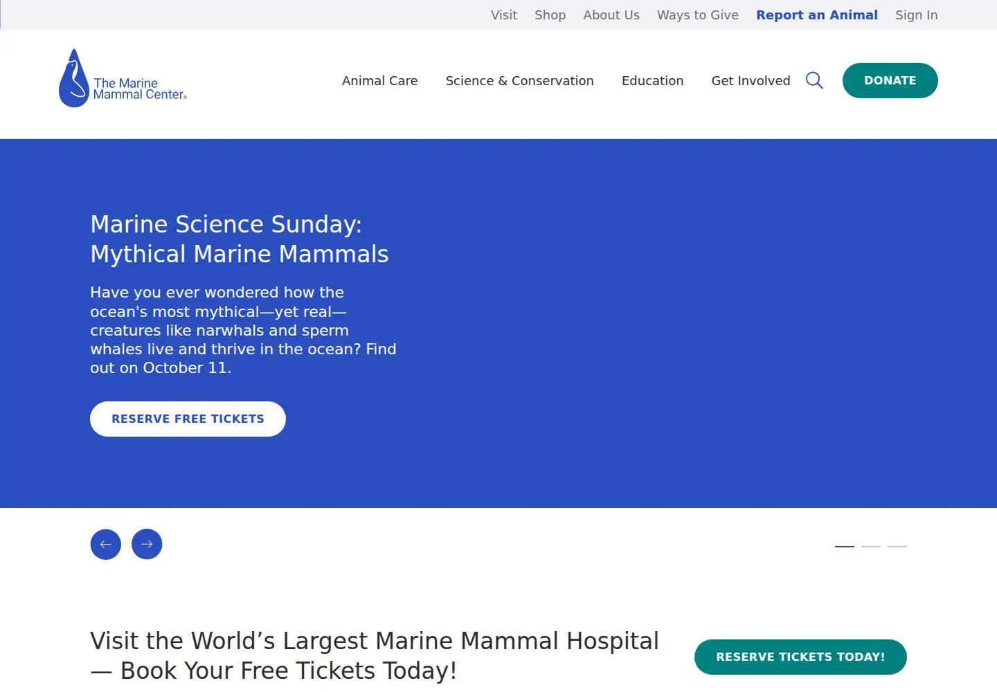 Screenshot of tmmc.org