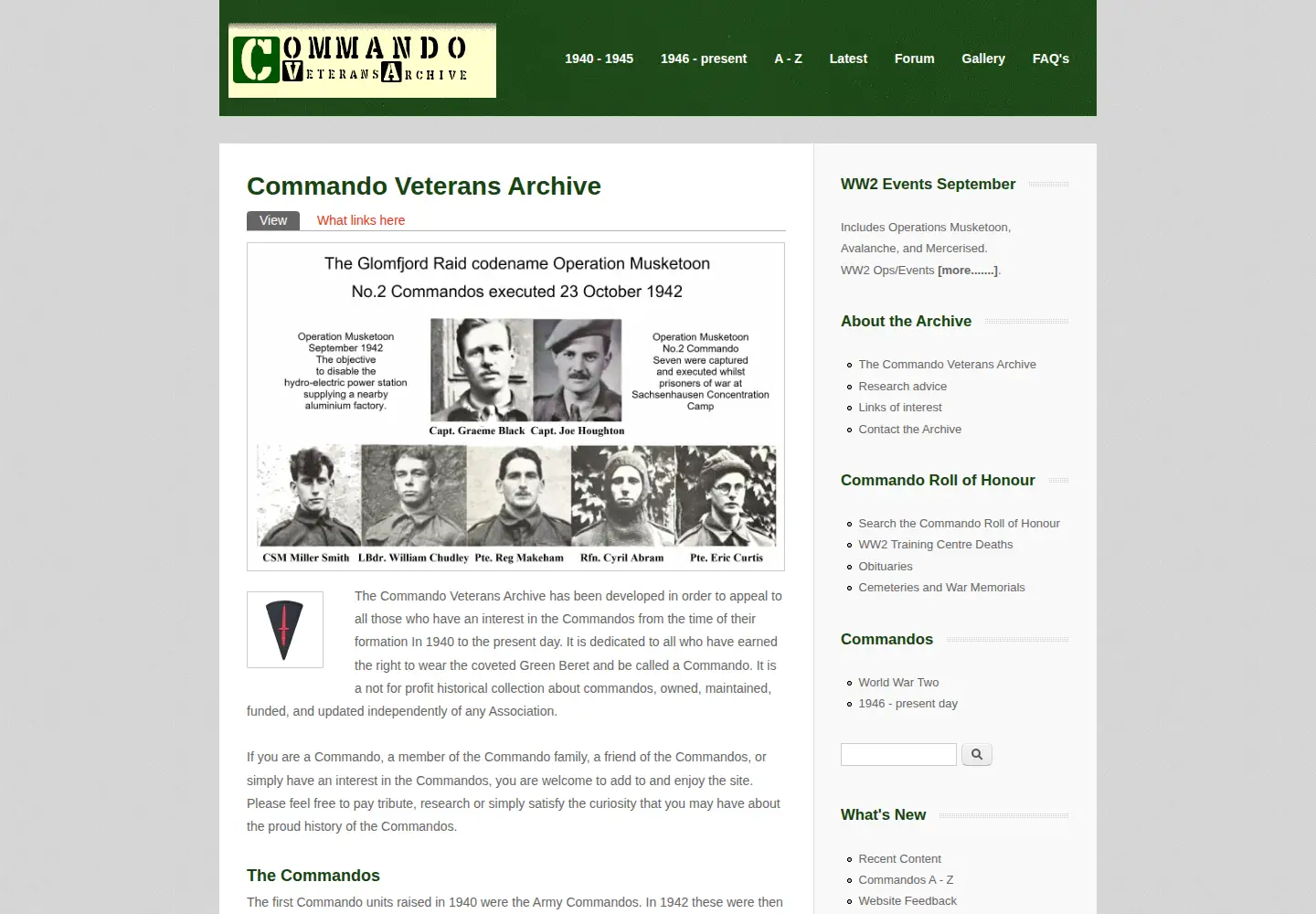 Screenshot of commandoveterans.org