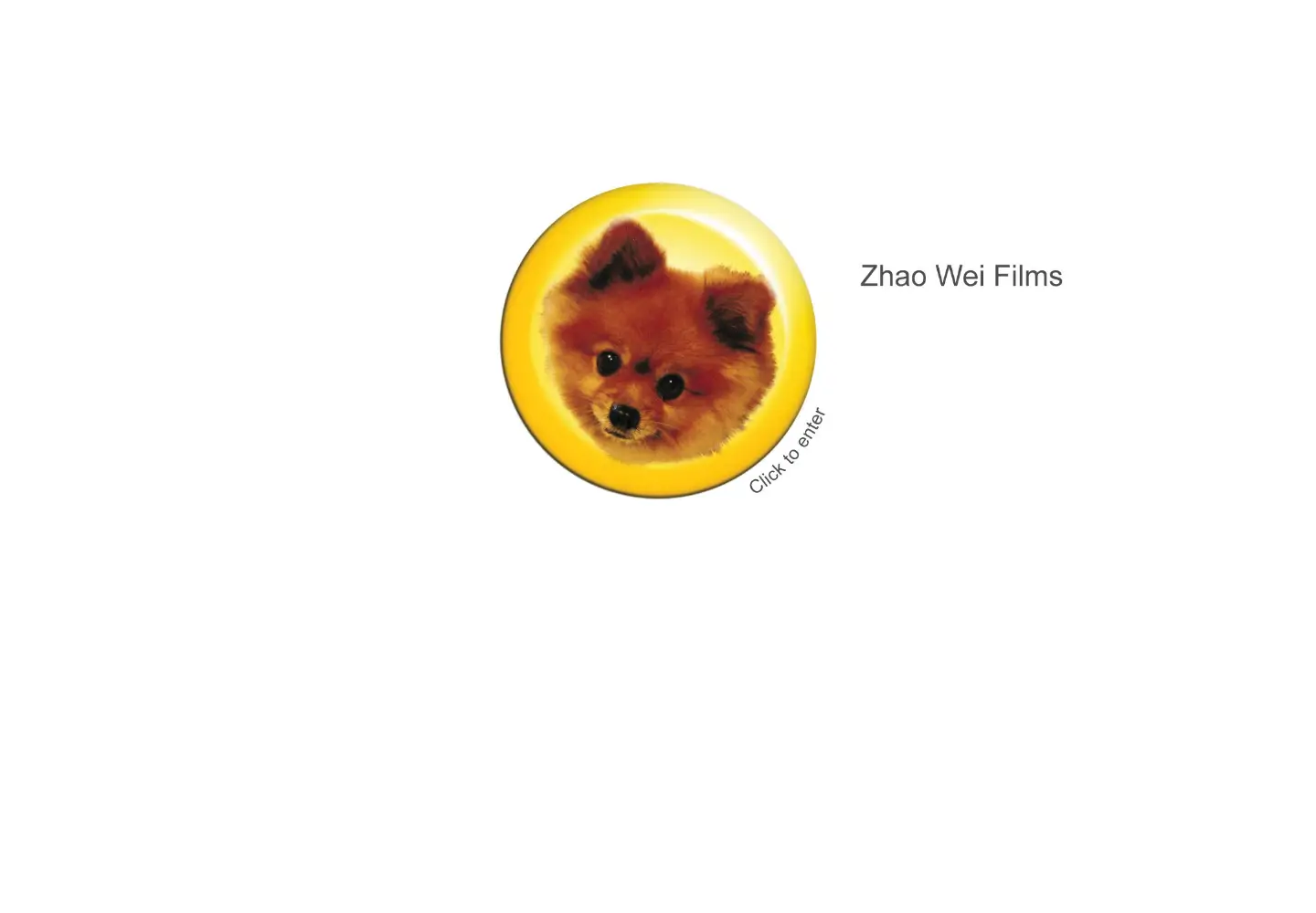Screenshot of zhaowei.com