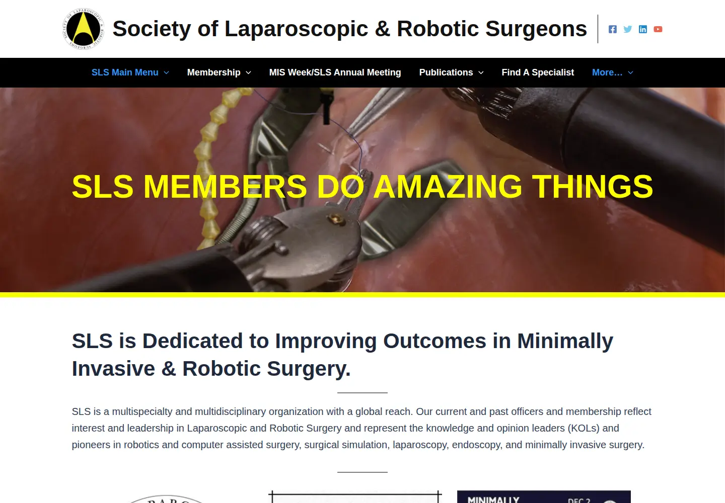 Screenshot of sls.org