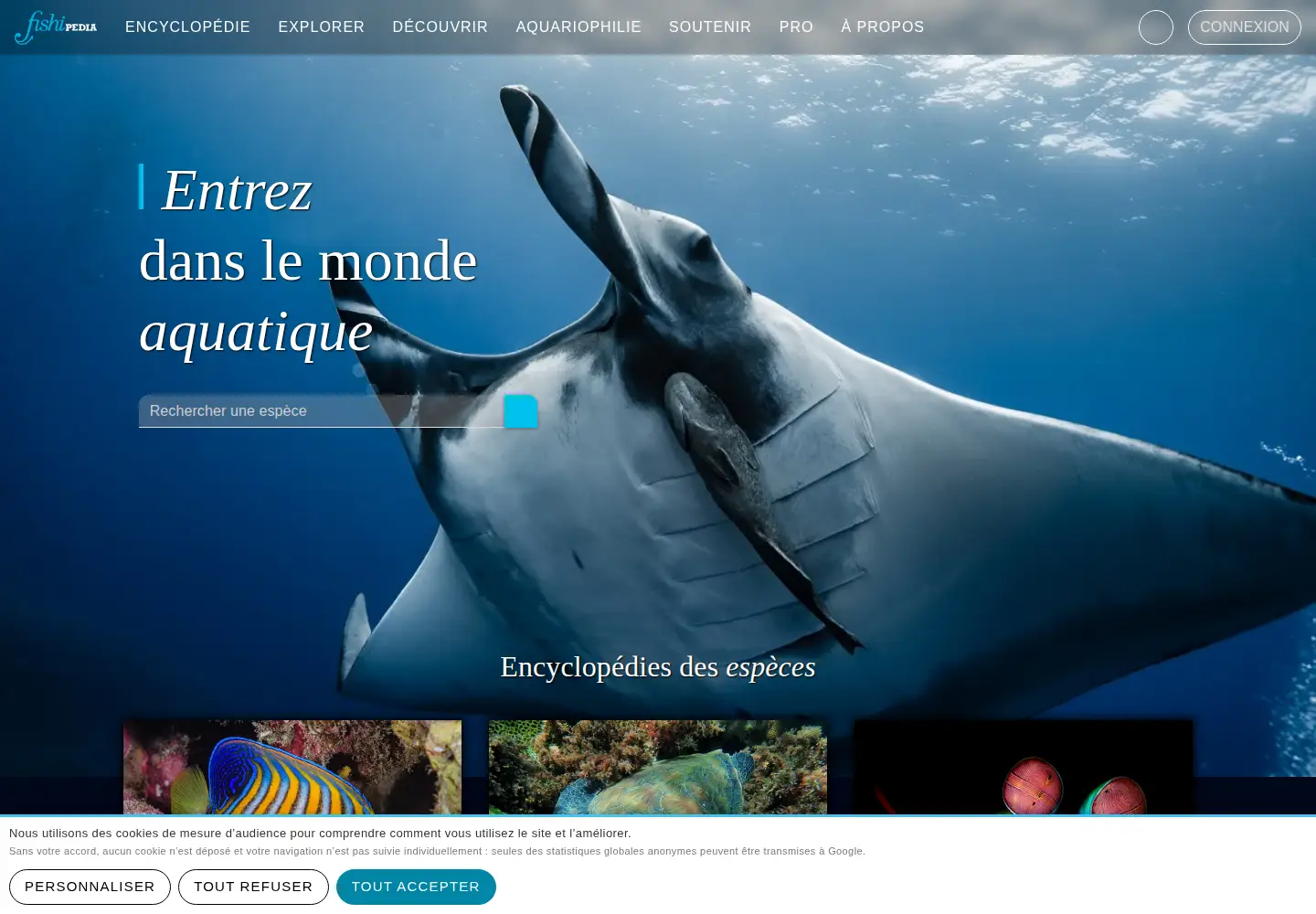 Captured homepage of fishipedia.fr in the current scan