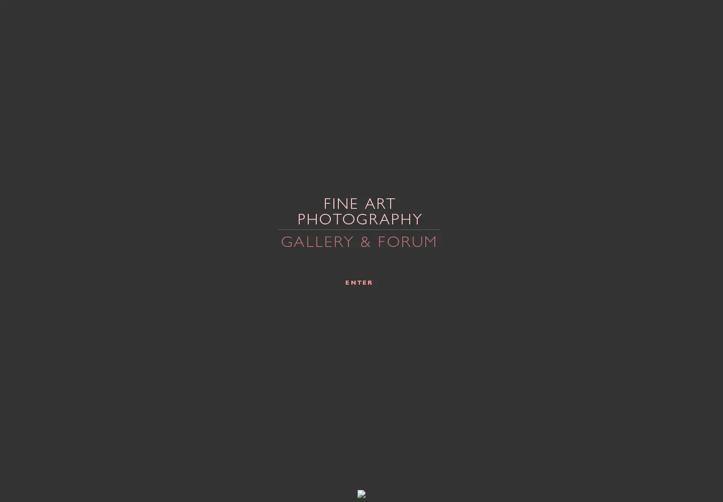 Captured homepage of artphotogallery.org in the current scan