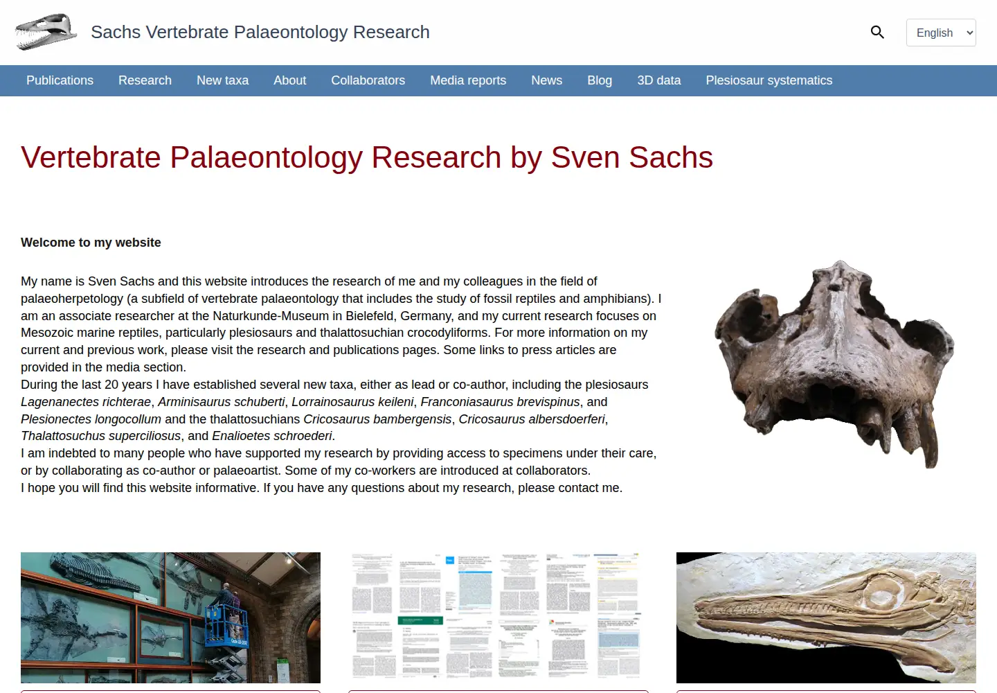 Screenshot of sachspal.de