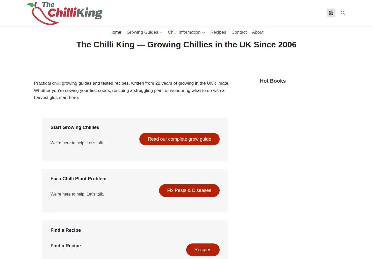 Captured homepage of thechilliking.com in the current scan