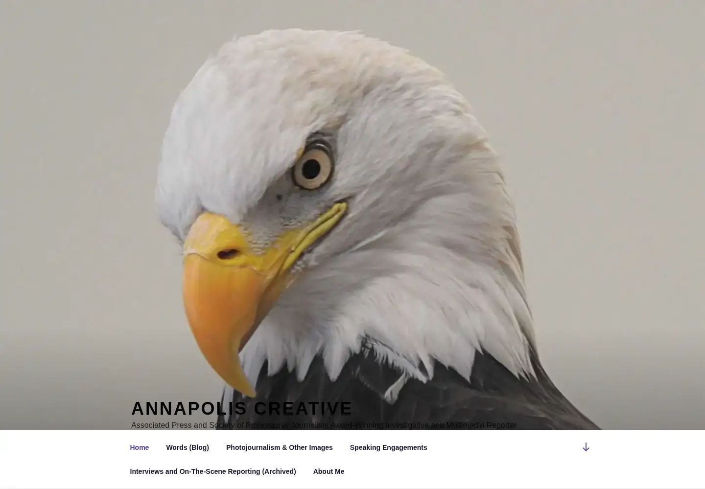 Screenshot of annapoliscreative.com