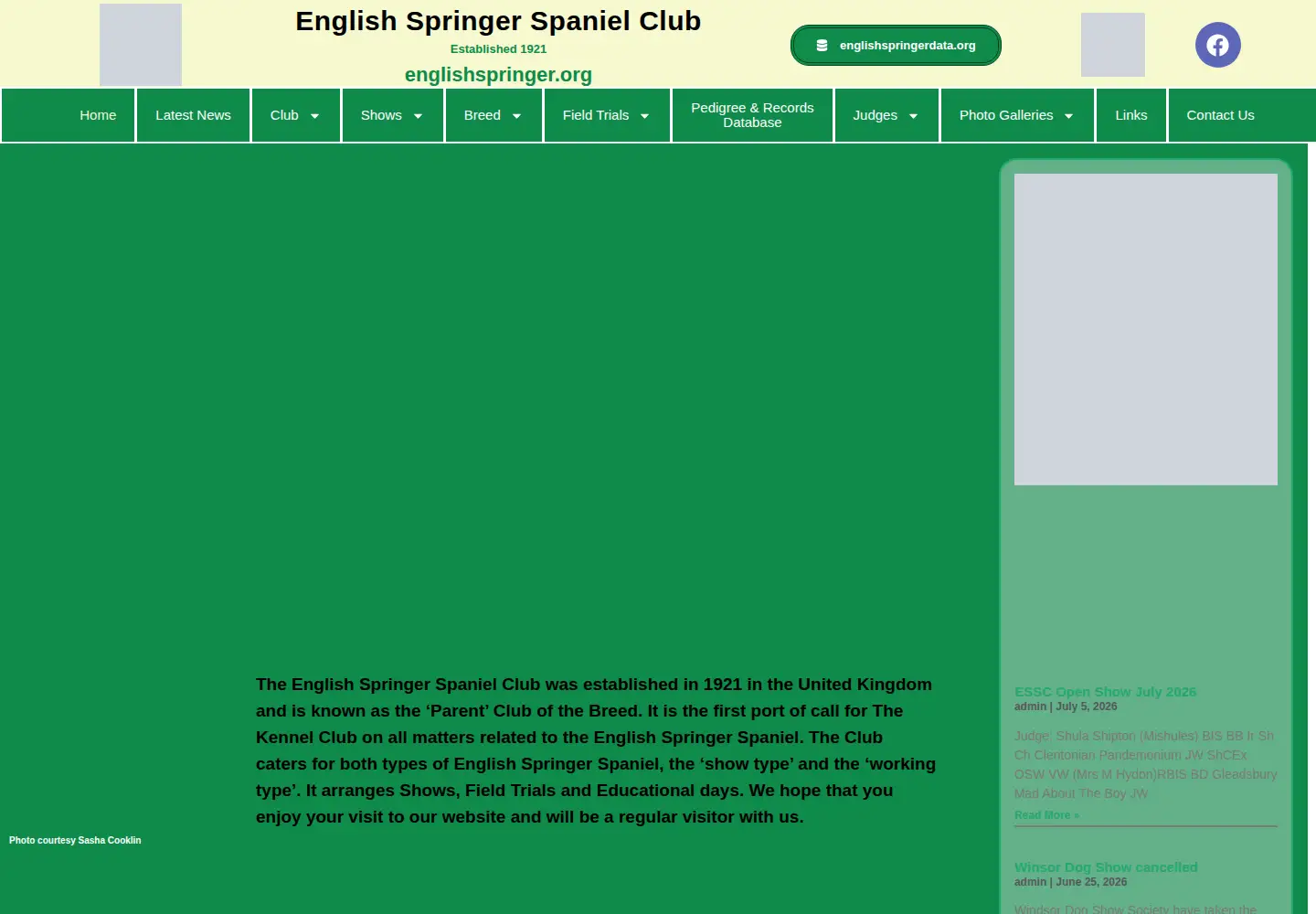 Screenshot of englishspringer.org