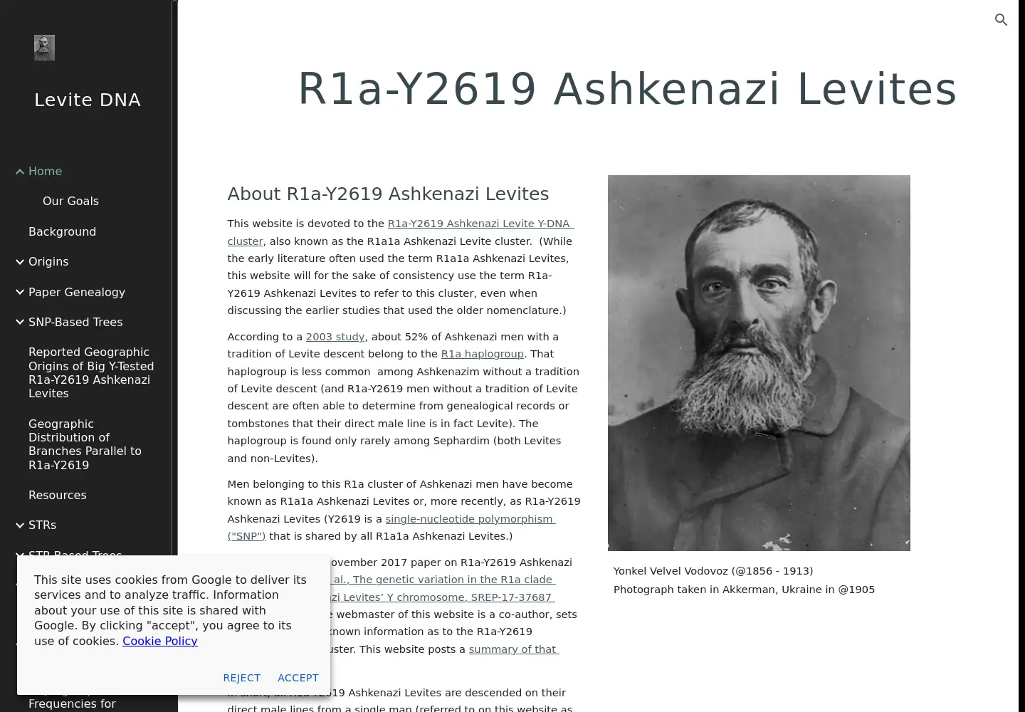 Screenshot of levitedna.org
