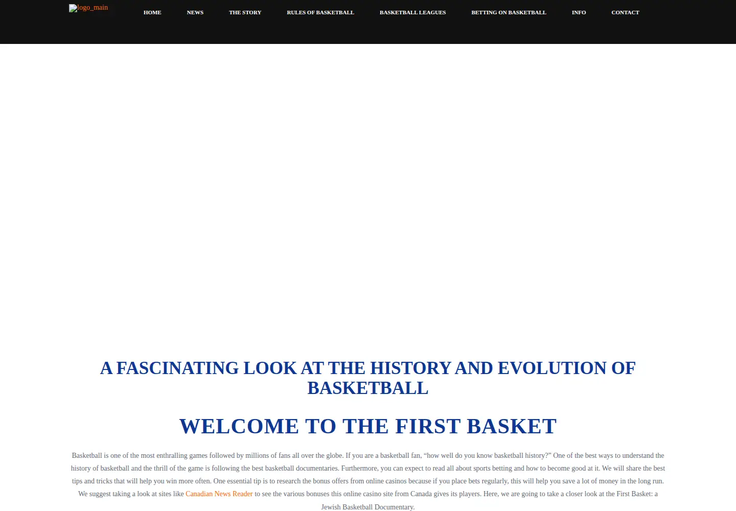 Screenshot of thefirstbasket.com