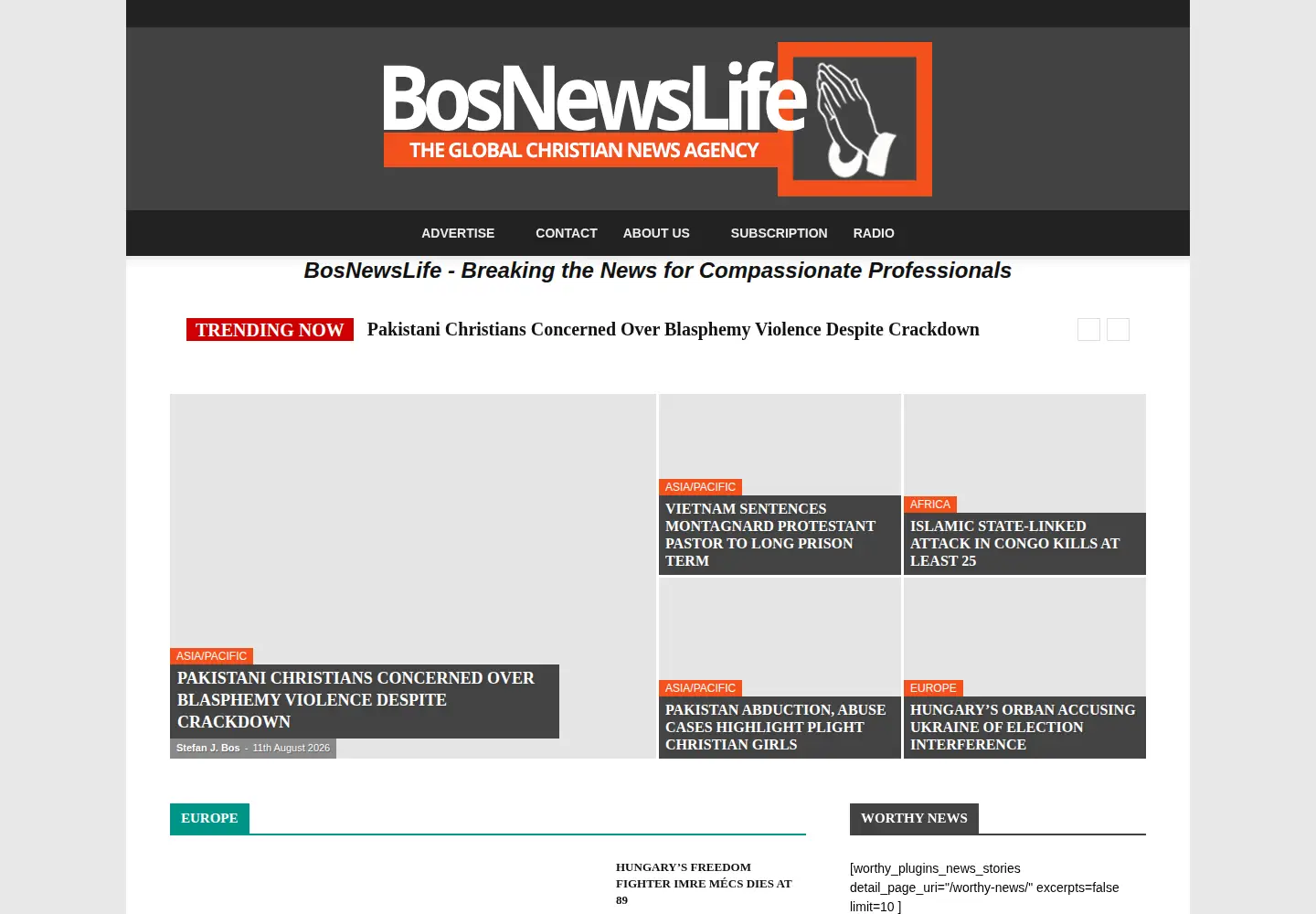 Screenshot of bosnewslife.com