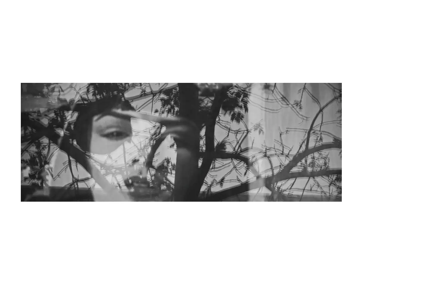 Screenshot of soniamelnikova.com