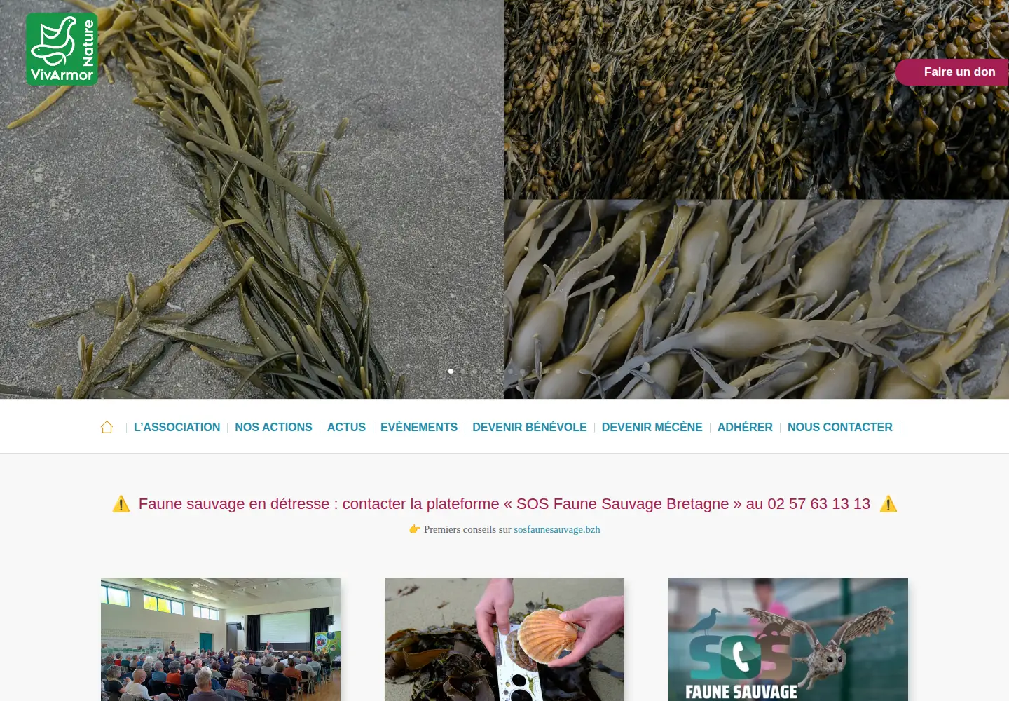 Screenshot of vivarmor.fr