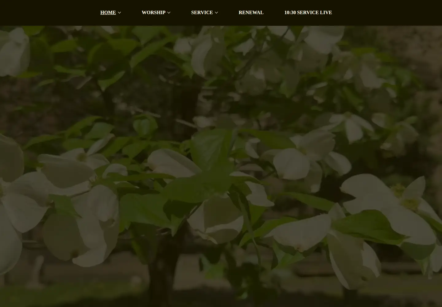 Captured homepage of trinitycathedralpgh.org in the current scan
