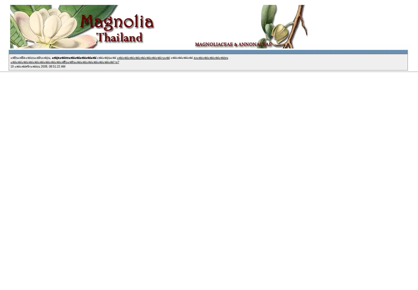Screenshot of magnoliathailand.com