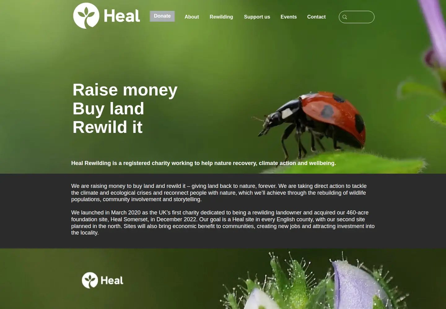 Screenshot of healrewilding.org.uk