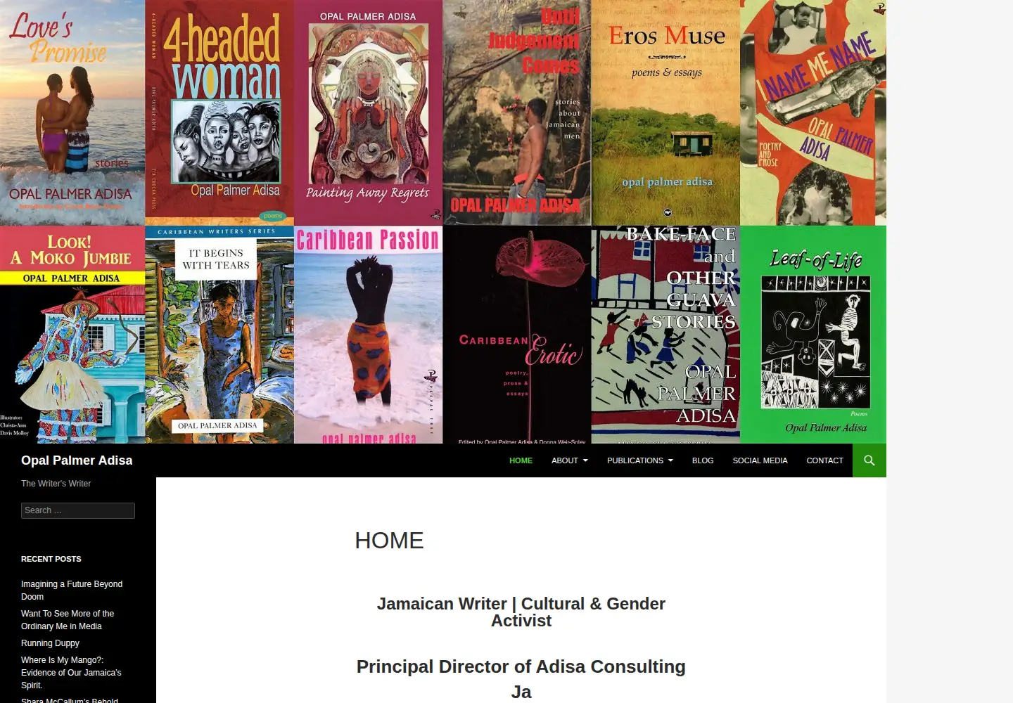 Captured homepage of opalpalmeradisa.com in the current scan