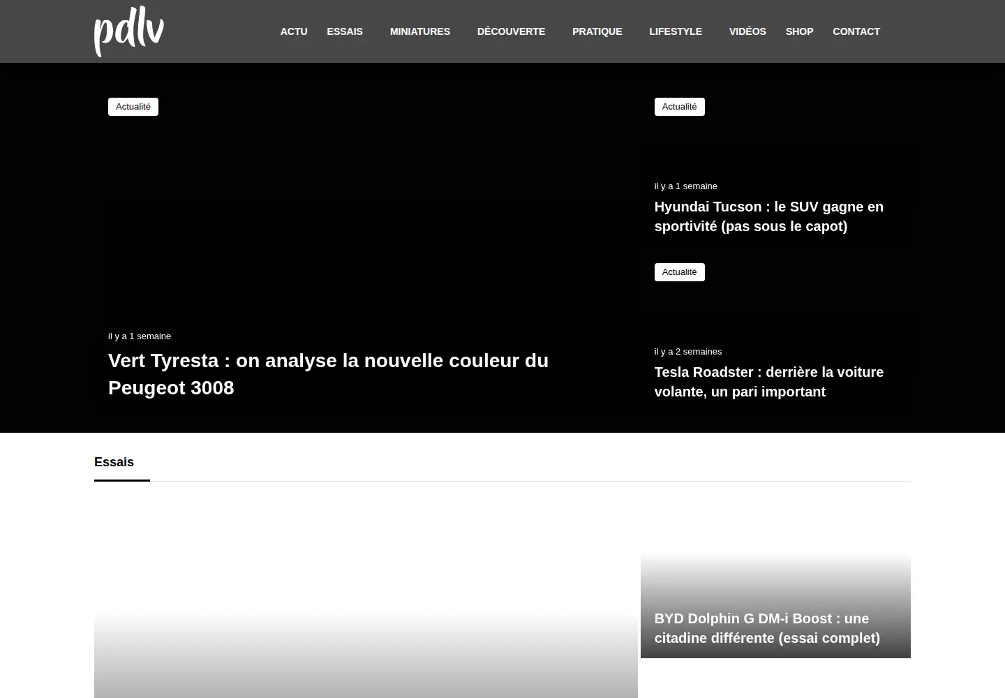 Captured homepage of pdlv.fr in the current scan