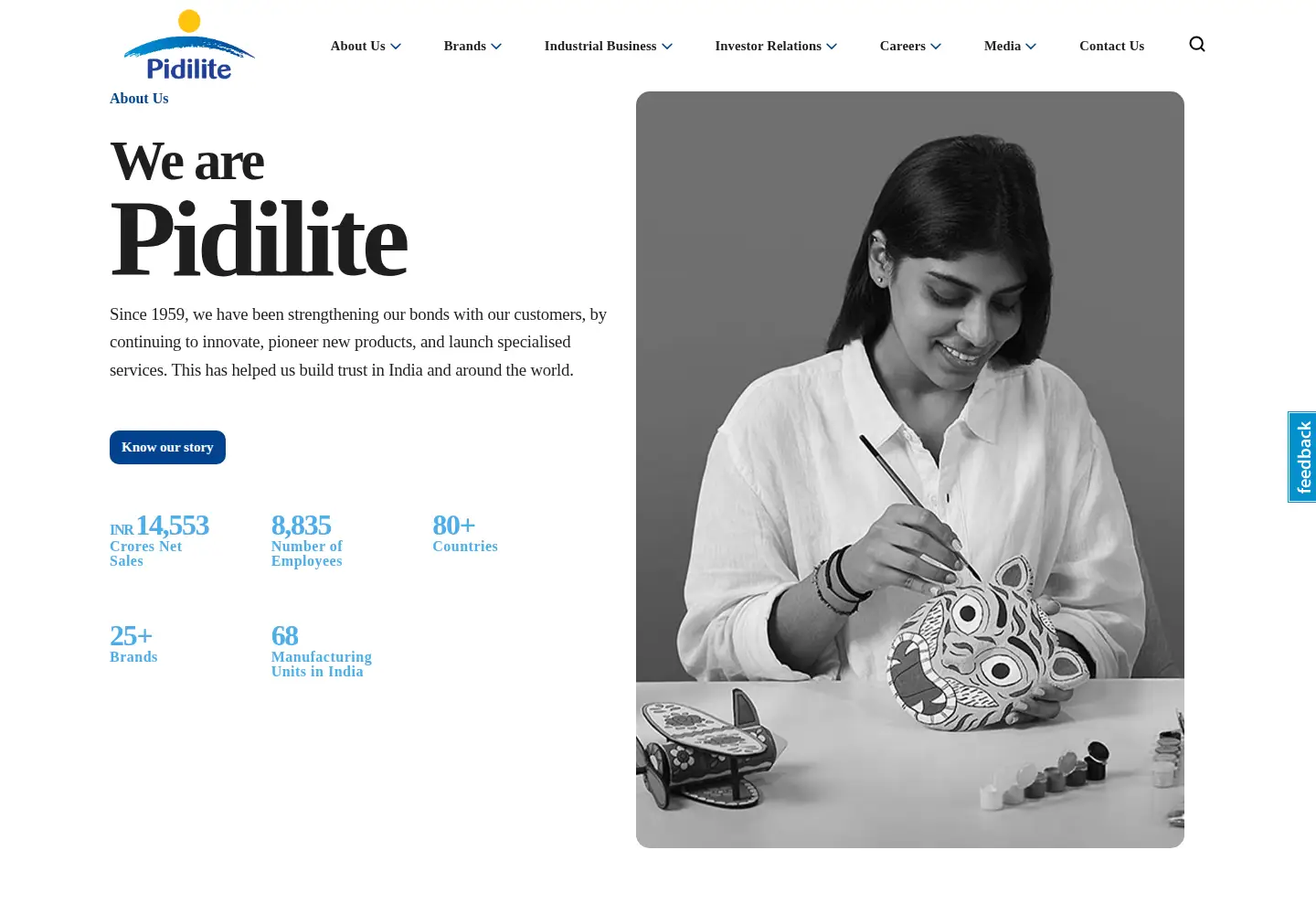 Screenshot of pidilite.com