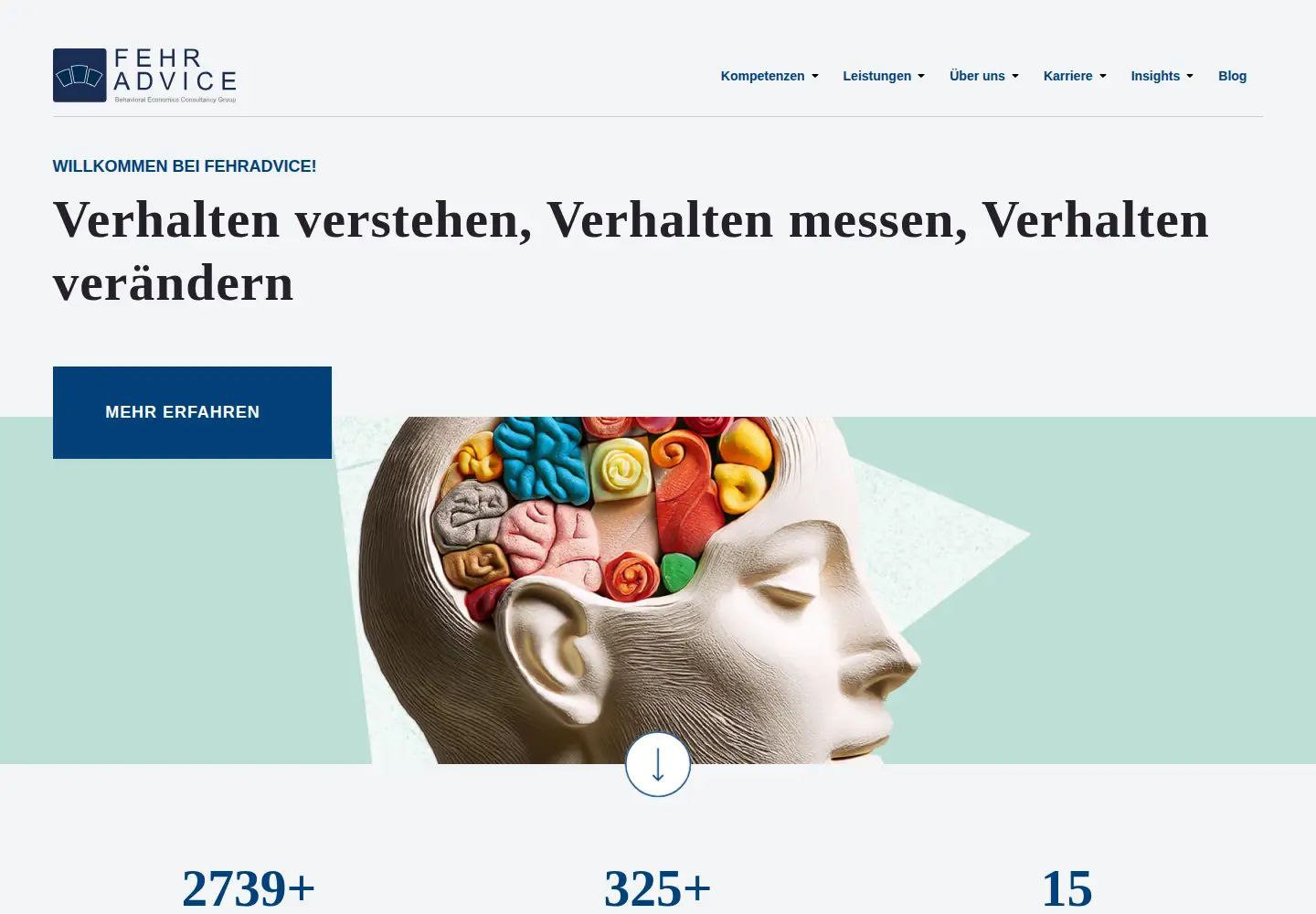 Screenshot of fehradvice.com