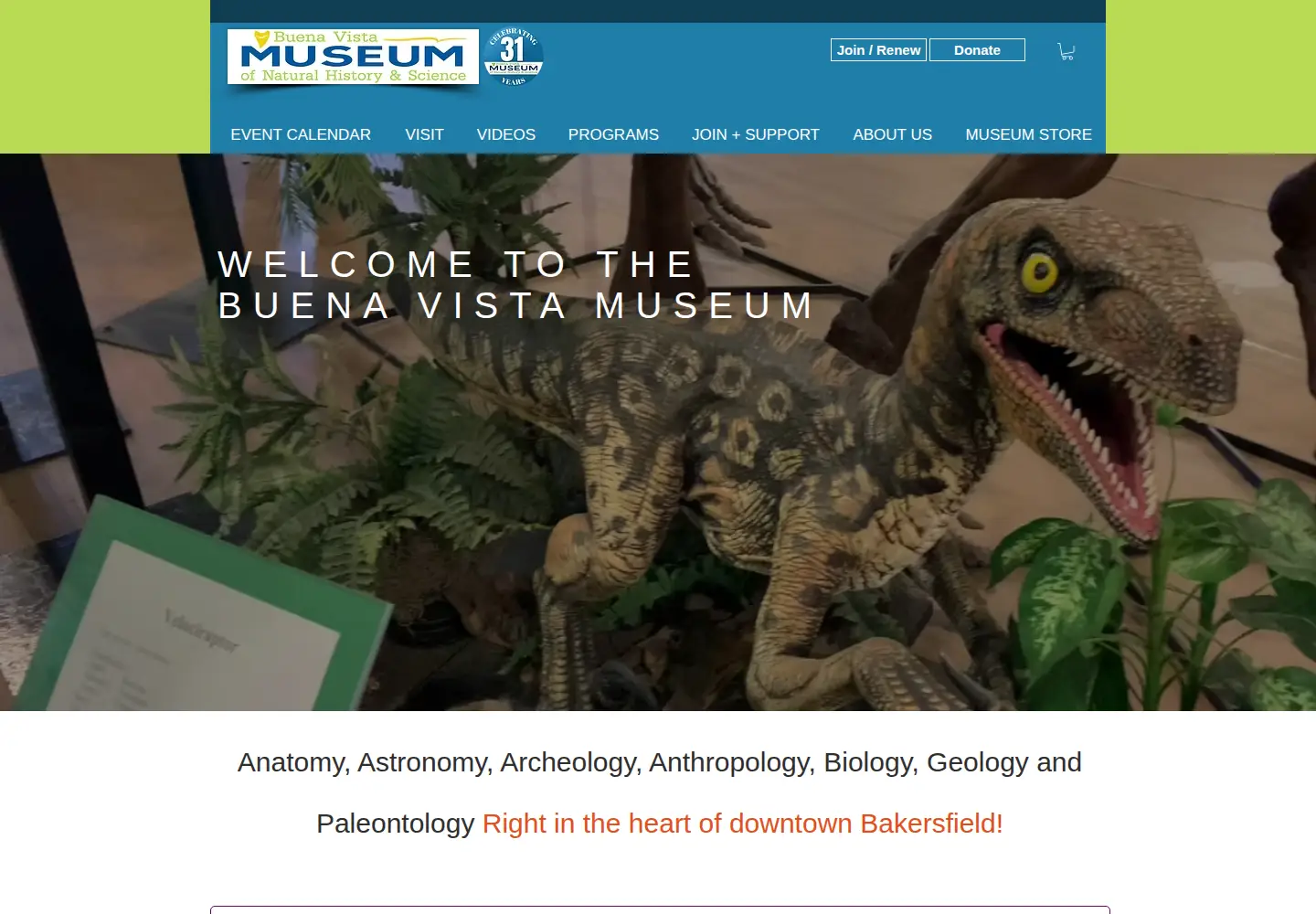 Screenshot of sharktoothhill.org